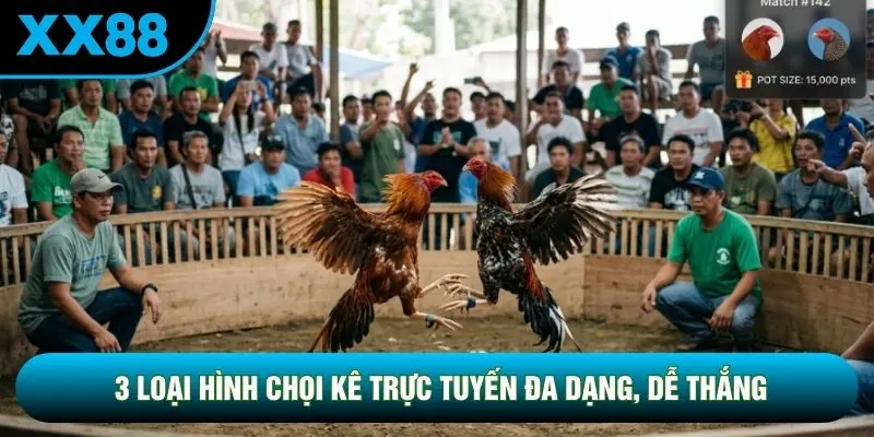 3 loại hình chọi kê trực tuyến đa dạng, dễ thắng 3 loại hình chọi kê trực tuyến đa dạng, dễ thắng