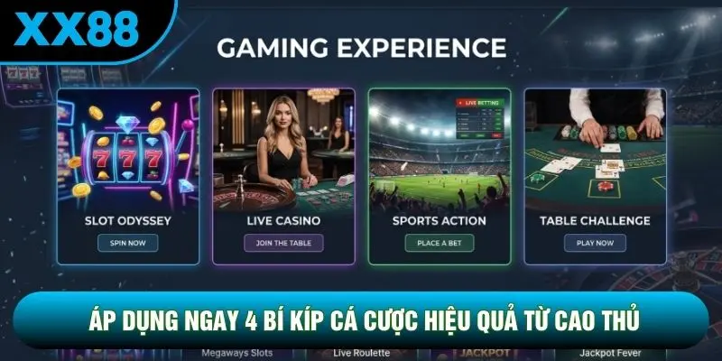 Áp dụng ngay 4 bí kíp cá cược hiệu quả từ cao thủ Áp dụng ngay 4 bí kíp cá cược hiệu quả từ cao thủ