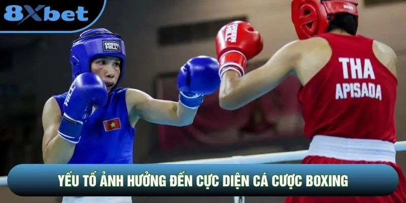 Các yếu tố ảnh hưởng đến kết quả cá cược Boxing Các yếu tố ảnh hưởng đến kết quả cá cược Boxing