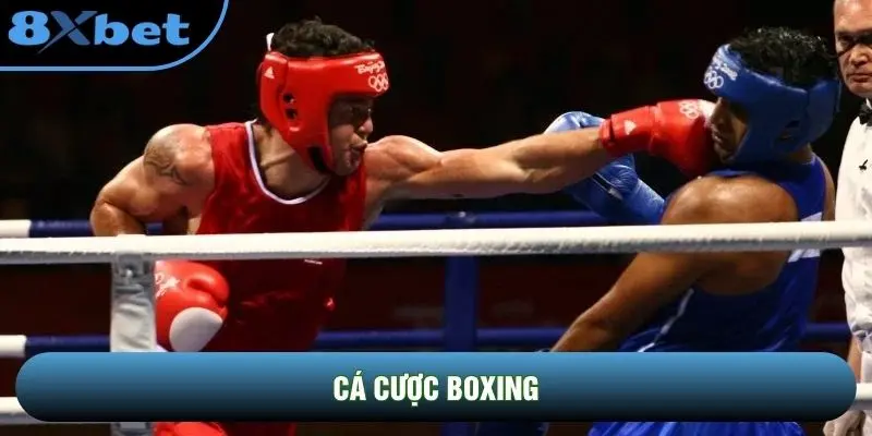 Cá Cược Boxing: Xu Hướng Đầu Tư Mới Từ Các Trận So Găng Đỉnh Cao