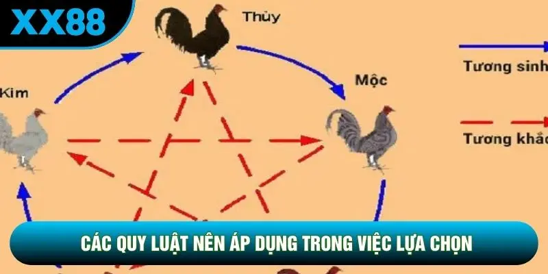 Các quy luật nên áp dụng trong việc lựa chọn Các quy luật nên áp dụng trong việc lựa chọn