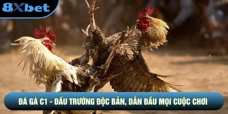 Đá Gà C1 - Đấu Trường Độc Bản, Dẫn Đầu Mọi Cuộc Chơi