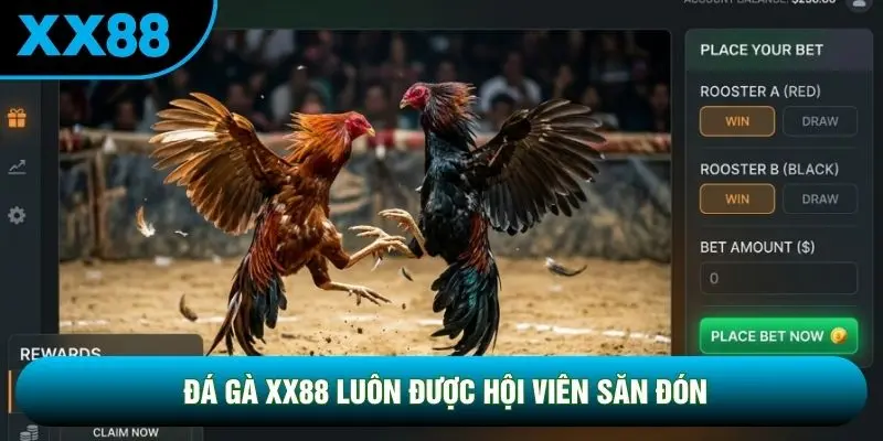 Đá gà XX88 luôn được hội viên săn đón Đá gà XX88 luôn được hội viên săn đón