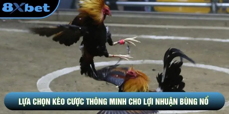 Lựa chọn kèo cược thông minh cho lợi nhuận bùng nổ Lựa chọn kèo cược thông minh cho lợi nhuận bùng nổ