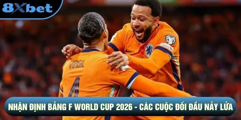 Nhận Định Bảng F World Cup 2026 - Các Cuộc Đối Đầu Nảy Lửa