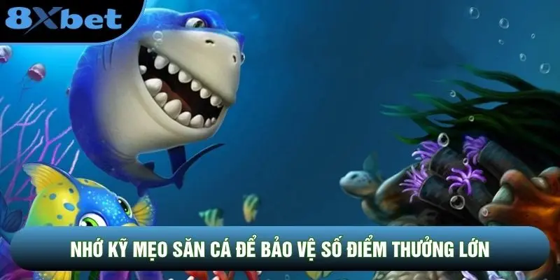 Nhớ kỹ mẹo săn cá để bảo vệ số điểm thưởng lớn
