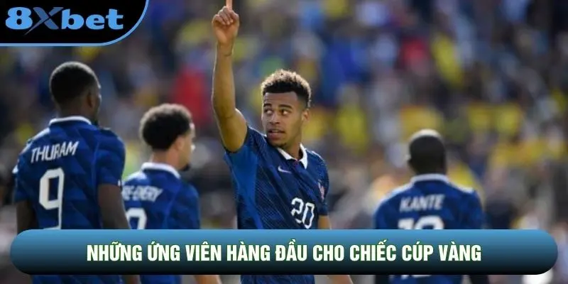 Những ứng viên hàng đầu cho chiếc cúp vàng