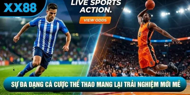 Sự đa dạng cá cược thể thao mang lại trải nghiệm mới mẻ Sự đa dạng cá cược thể thao mang lại trải nghiệm mới mẻ