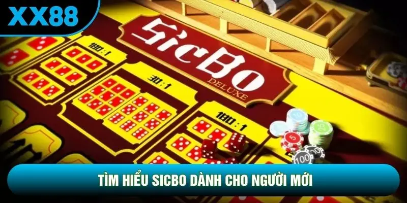 Tìm hiểu Sicbo dành cho người mới Tìm hiểu Sicbo dành cho người mới